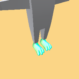 Feet