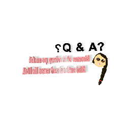 Q & A