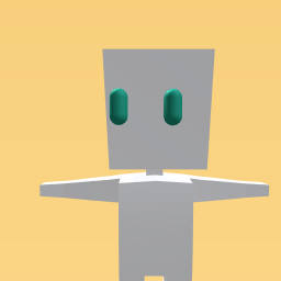 a roblox face