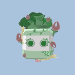 Otto
