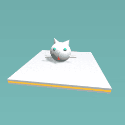 White cat head