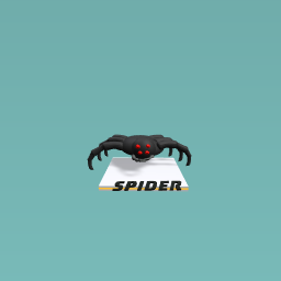 Spider