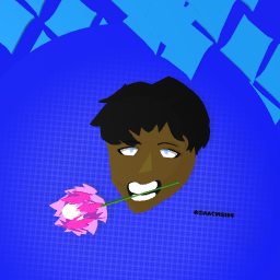 kai77
