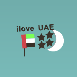 UAEflay