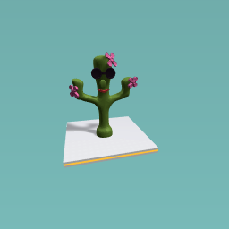 cool cactus