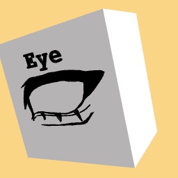 eye