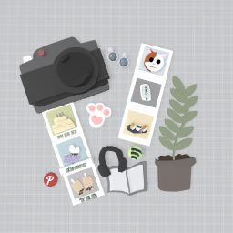 Amazing camera