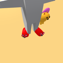 cat shoes
