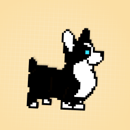 Black and white dog blue eyes