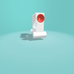 The white rover and a red camera