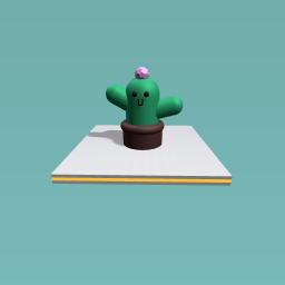 Mr.  Cacti