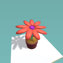 flower pot