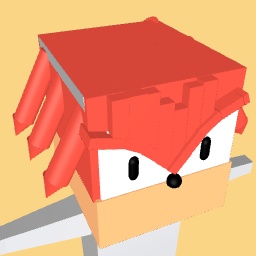 Knuckles' head: outcome memories