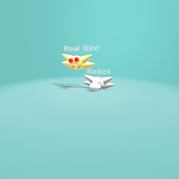 Birddd
