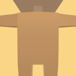 new costume