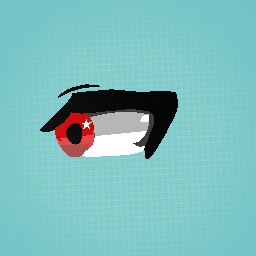 An eye