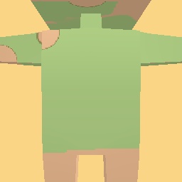 new costume