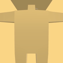 new costume