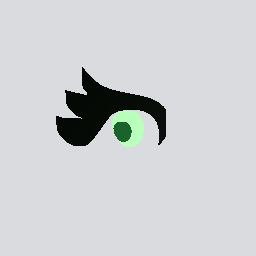 Eye