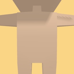 new costume