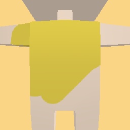 new costume