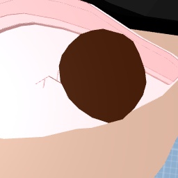 Wip