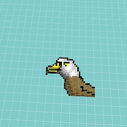 eagle