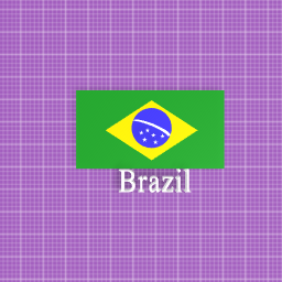 Brazil Flag