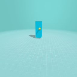 The door thats goes somwere