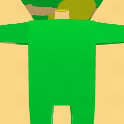 new costume
