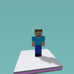 Steve from MineCraft