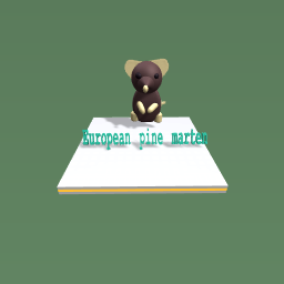 European pine marten