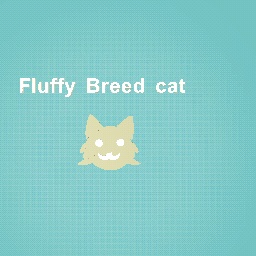 fluffy breed cat