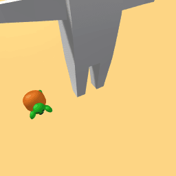 turtle pet