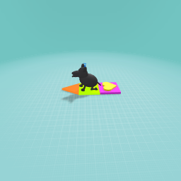 surfing dog