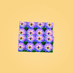 A flower bed