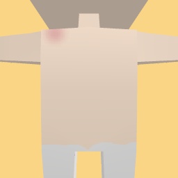 new costume copy
