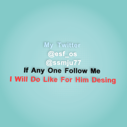 follow in twitter