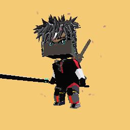 Double sword ninja