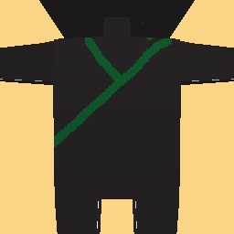 new costume