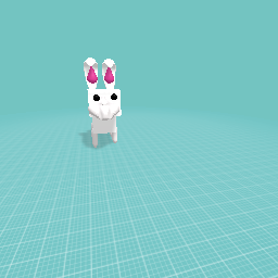 Bunny