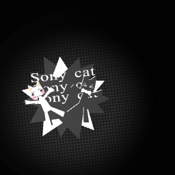 Sony cat