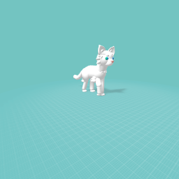 Fluffy cat model