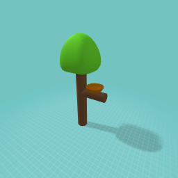 A Bird Nest!