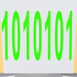 101011