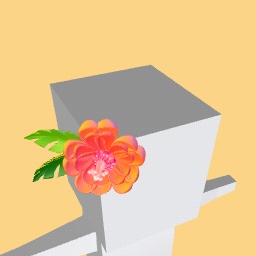 Sunset Hibiscus