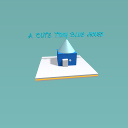 A CUTE TINY BLUE HOUSE
