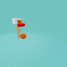 The basket ball hoop