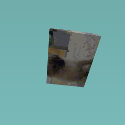 my cat when he was little(now he is fat)