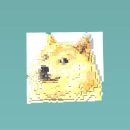 Doge